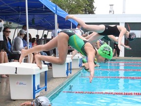 The Stony Plain Sharks hosted swimmers from around Northern Alberta in their annual swim meet at the outdoor pool on 55th Avenue on July 24. Summer provincials are just around the corner. - Photo by Mitch Goldenberg