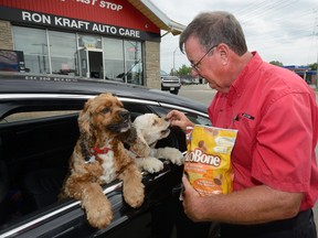 Tom Jarvis feeds a pair of dogs treats Friday while filling a car with gas at Ron Kraft Auto Care in London. The garage has seen an increase in repeat business from customers with dogs since they started offering doggy treats. (MORRIS LAMONT, The London Free Press)