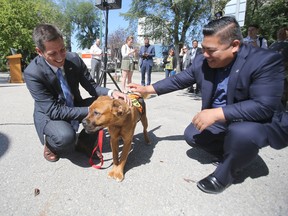 Winnipeg's mayor, Brian Bowman (left), and city councillor Mike Pagtakhan, with a dog named Molly, at Bonnycastle Park, in Winnipeg on July 29, 2016. Despite complaints from one of the site's closest neighbours, construction of the 16,000-square-foot off-leash dog park is set to begin in August, 2017, and completed in October. Chris Procaylo/Winnipeg Sun/Postmedia Network