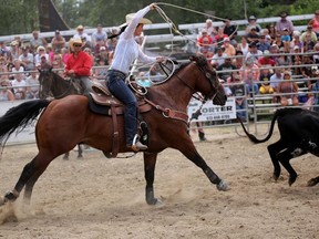 Amanda Llewellyn, of Shannonville, takes part in a roping competition as part at the Ram Rodeo Tour, part of the Tweed Stampede and Jamboree on Sunday July 31, 2016 in Tweed, Ont. 

Emily Mountney-Lessard/Belleville Intelligencer/Postmedia Network
