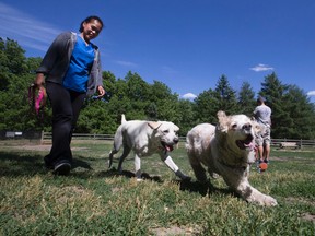 Dog owners have appealed to Toronto Councillor Pasternak for the city to provide water for their pets. (STAN BEHAL, Toronto Sun)