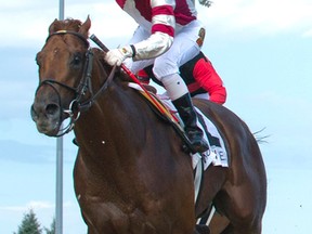 Jockey Luis Contreras guides Breaking Lucky to victory in the $150,000 Seagram Cup Stakes at Woodbine Racetrack yesterday. (Michael Burns/photo)