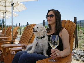 In this photo taken July 5, 2016, Jennifer Singer sits with her dog Redford, during a visit to HALL Wines in St. Helena, Calif. For those who love their dogs and their wine, there are now a number of Napa Valley wineries where you don't have to choose between the two because canines are allowed in the tasting rooms. (AP Photo/Eric Risberg)
