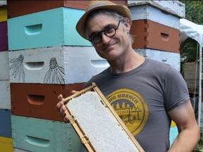 Samantha Reed/The Intelligencer
Gavin North, co-owner of Honey Pie Hives and Herbals in Prince Edward County, holds a frame full of honey on Tuesday afternoon. North is encouraging everyone to help track and save the local bee population.
