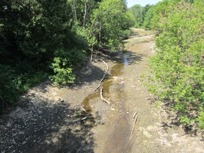 The Jock River at Ashton (Courtesy Trish Fuller)