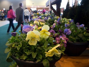 London Spring Home and Garden Show. (File photo)