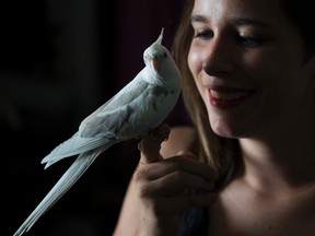 Amber Glasner is reunited with her pet cockatiel named Blue. Aug. 4, 2016.