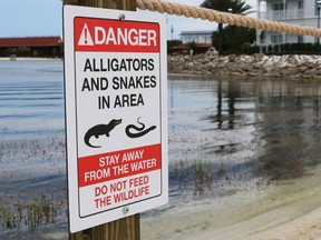 In this June, 17, 2016 file photo released by Walt Disney World Resort, a new sign is seen posted on a beach outside a hotel after a 2-year-old Nebraska boy was killed by an alligator at Disney World.  (Walt Disney World Resort via AP, File)