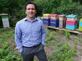 Kristian Crossen shows the hives containing 300,000 bees at Western University. Honey produced by the bees will be served by the university?s Great hall Catering and Green Leaf Cafe. (MORRIS LAMONT, The London Free Press)