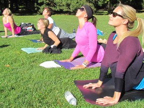 A dozen participants complete 108 sun salutations on yoga mats in Sarnia in 2012. A Yogathon event, featuring the sequence of 12 yoga exercises, is scheduled for Aug. 20 in Canatara Park. (File photo)