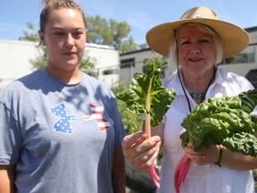 Emily Mountney-Lessard/The Intelligencer
Gleaners Food Bank director of operations Susanne Quinlan, right, holds a leaf that's been chewed by rodents in Belleville. Shown on the left is summer student Melissa Symonds who works in the garden.