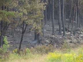 Jim Moodie/Sudbury Star
A few puffs of smoke were still visible Wednesday at a forested site off Trout Lake Road near the CPR tracks that caught fire on Tuesday evening.
