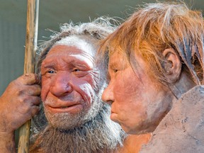 This Friday, March 20, 2009 file photo shows reconstructions of a Neanderthal man, left, and woman at the Neanderthal museum in Mettmann, Germany. (AP Photo/Martin Meissner)
