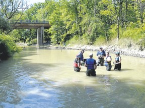 Stewardship Youth Rangers came down from Aylmer for a day to help the St. Clair Conservation Authority capture and tag mussels at Bear Creek at Petrolia. (Melissa Schilz/Postmedia Network)