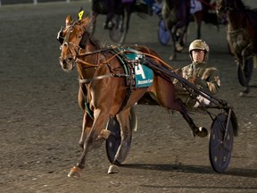 All The Time, shown at the 2015 Breeders Crown, won the Hambletonian Oaks on Aug. 6, 2016. (MICHAEL BURNS/File photo)