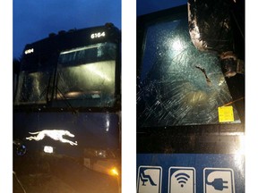 Facebook photos from scene of Greyhound bus crash travelling from North Bay to Ottawa
