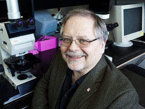 Greg Black/Queen’s University 
Queen's University researcher John Smol sits at a microscope at the school in Kingston. He warns of harsh effects of a warming planet.