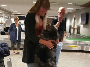 PHOTO COURTESY OF DAWN MENGERING. Thor, an Australian Shepherd Cross, is reunited with Bronwyn Mengering, 15, at the airport in Halifax, Nova Scotia. Thor had previously been stolen from his home in Fort St. John, BC. Despite initial thoughts the dog would not recognize Bronwyn, Thor leapt up to see his owner.