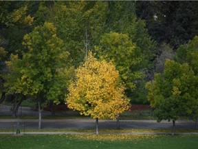 Fall is forecast to be mild in Alberta.