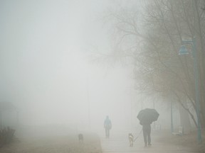 People walk their dogs on the beach during a foggy rainy day in Toronto. (THE CANADIAN PRESS/Nathan Denette files)