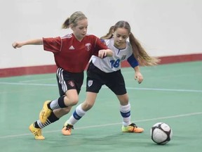 Edmonton councillors voted to look into a new indoor soccer facility at the community and public services committee on Aug. 15, 2016. SHAUGHN BUTTS / EDMONTON JOURNAL