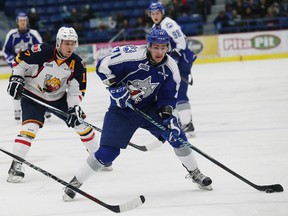 David Levin, right, of the Sudbury Wolves, looks for an opening during OHL action against the Barrie Colts at the Sudbury Community Arena in Sudbury, Ont. on Friday January 22, 2016. John Lappa/Sudbury Star/Postmedia Network