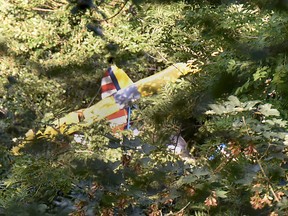 The wreckage of an ultralight aircraft stuck in a tree near Degenfeld, Germany, on Aug. 16, 2016. The pilot of an ultralight aircraft in Germany has spent a night stuck up a tree awaiting rescue. (Jan-Philipp Strobel/dpa via AP)