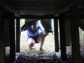 Samantha Reed/Intelligencer photos
Courtney Kane peeks through one of the 21 obstacles set up for the September race in Hillier.