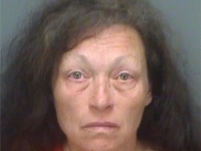 This photo provided by the Pinellas County Sheriff's Office shows Kathleen Marie Steele, 62.  Steele was arrested Thursday, Aug. 11, 2016, on a charge of aggravated manslaughter of a child for the death of her 13-day-old baby girl. The Pinellas County Sheriff's Office said her 6-year-old son brutally beat her infant daughter on Monday when the mother left them alone in a minivan for at least 38 minutes. (Pinellas County Sheriff's Office via AP)