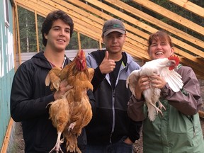 An initiative that partners international students with researchers in Canada yields real-world results, such as the work being done with U of M professor Shirley Thompson and northern communities like Garden Hill First Nation, where researchers are investigating issues around food security and self-sustainability. (Handout)