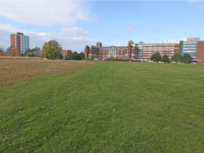 Ottawa Hospital, Civic campus,from the grounds of the Experimental Farm. Jean Levac/Postmedia