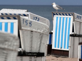 A seagull rests on a  beach chair at the Baltic Sea  beach of  Rostock-Warnemuende, Germany, Wednesday June 29, 2016.  (Jens Buettner/dpa via AP)