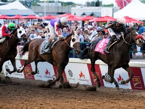 Ready Intaglio ridden by Shamaree Muir wins the 87th running of the Canadian Derby at Northlands Park, in Edmonton on Saturday Aug. 20, 2016. Following Ready Intaglio are Solve and Inside Straight.