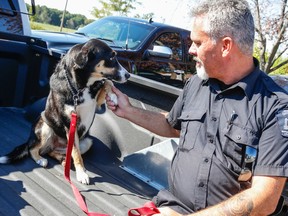 Animal Care and Control Officer Jerry Higgins tends to Neveah ('heaven' reversed), a shepherd cross that was rescued from a homeless person who could not take proper care of the dog, at the Toronto North Animal Shelter on Sheppard Ave. on Friday August 19, 2016. (Dave Thomas/Toronto Sun)