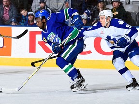 Jordan Subban of the Utica Comets pulls away from Nikita Soshnikov of the Toronto Marlies at the Ricoh Coliseum in Toronto on Jan. 24, 2016. (Graig Abel/Getty Images)