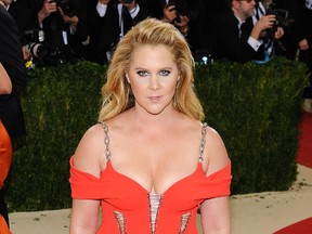 Amy Schumer at the Metropolitan Museum of Art Costume Institute Gala in 2016. (WENN.COM)