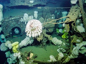 This image provided by Ocean Exploration Trust/Nautilus Live, shows an anti-aircraft deck gun covered by a large glass sponge on the sunken wreckage of the World War II-era aircraft carrier USS Independence, Tuesday, Aug. 23, 2016, located half a mile under the sea in the Greater Farallones National Marine Sanctuary off the coast near San Francisco, Calif. (Ocean Exploration Trust/Nautilus Live via AP)