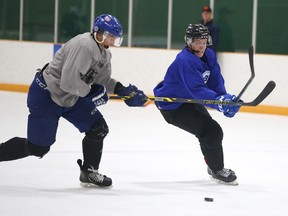 Rayside Balfour Canadians held a training camp at the Gerry McCrory Countryside Sports Complex in Sudbury, Ont. on Wednesday August 24, 2016. The Canadians host Elliot Lake in exhibition play today at 12:45 at the Gerry McCrory Countryside Sports Complex. Gino Donato/Sudbury Star/Postmedia Network