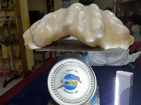 This undated handout photo released on August 23, 2016 by the Puerto Princessa Tourism Office shows a 34-kilogramme (75-pound) pearl on a weighing scale in Puerto Princesa City in southern island of Palawan.  A poor Philippine fisherman found what is thought to be the world's largest pearl, but hid it under his bed for a decade without knowing its worth, local authorities said. (AFP PHOTO/TOURISM OFFICE/Handout)