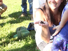 Nicole Devereaux holds one of the baby turtles August 23 at the Walton Raceway. Last June during a race, a female turtle laid eggs on the race track and within the same week another female also laid eggs around the same vicinity. (Shaun Gregory/Huron Expositor)