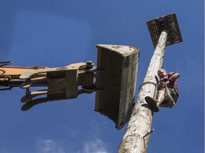 Dave Craig helps install an osprey nest atop a 52 foot pole on his property in hopes of attracting the birds after an existing nesting pole was accidentally knocked down. ERROL MCGIHON / POSTMEDIA