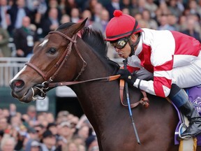 Mike Smith rides Songbird to win the Breeders' Cup Juvenile Fillies horse race at Keeneland race track on Oct. 31, 2015, in Lexington, Ky. In her three-year-old campaign, Songbird reached 10 wins in a row with a victory in the 2016 Alabama Stakes. (BRYNN ANDERSON/AP files)