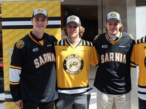 The Sarnia Sting introduced five new players signed for the upcoming Ontario Hockey League season at a press conference inside Lambton Mall on Friday August 26, 2016 in Sarnia, Ont. From left are Adam Ruzicka, Jordan Ernst, Filip Helt, Louis Latta and Kelton Hatcher. (Terry Bridge/Sarnia Observer)
