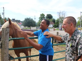 Franklin Toering, from Brantford, was eager to pet the horse outside Old McDonald's barn at the Woodstock Fair on Aug. 27, 2016. Franklin's dad, Steven Toering, said his son loves animals so much that they try to visit a farm or fair once a week. (MEGAN STACEY/Sentinel-Review)