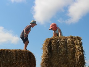 Jaxon Smith and 3-year-old Paislie McCarthy, from Dutton, Ont., climb the hay bales at Leaping Deepr Adventure Farm on Friday, Aug. 26, 2016. (MEGAN STACEY/Sentinel-Review)