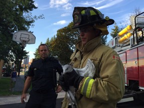 Firefighter Dean Herzberg carries an injured gull to safety after it became entangled in fine line on Sunday evening on Connaught Avenue near Lincoln Fields. The gull was taken to the Wild Bird Care Centre for treatment.  Blair Crawford/Postmedia
