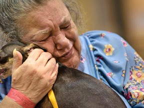 (FILES) This file photo taken on August 16, 2016 shows Sandra Montanaro holding her dog Dixy at a temporary animal shelter at the Lamar Dixon Expo Center in Gonzales, Louisiana. Dogs distinguish words and intonation in the same region of the brain as humans, according to a new study of how man's best friend interprets our language.Published on August 29, 2016 in the journal Science, the report by researchers at Budapest's Eotvos Lorand University shows the canine brain is capable of interpreting both what we say and how we say it. (AFP PHOTO / Brendan SmialowskiBRENDAN SMIALOWSKI/AFP/Getty Images)