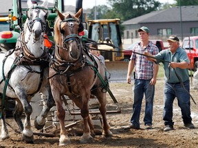 The Intelligencer/file photo
Eddie Rowswell of Elgin, Ont., and his horses pull a stone-boat, or weighted sled, during the horse pull at the 193rd Quinte Exhibition and fall Fair in Belleville in 2014.