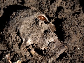 This image released by the Mass Graves Directorate of the Kurdish Regional Government shows a human skull in a mass grave containing Yazidis killed by Islamic State militants in the Sinjar region of northern Iraq in May, 2015. An analysis by The Associated Press has found 72 mass graves left behind by Islamic State extremists in Iraq and Syria, and many more are expected to be discovered as the group loses territory. (Kurdish Mass Graves Directorate via AP)