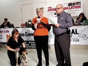 Volunteer Kim Gilmour, left, holds Susie while Lois Jackson of All Breed Canine Rescue and Ald. Gord Campbell talk on camera at a 2011 Animal Coaliton animal telethon organized by animal welfare groups.